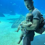 Photo taken by Kristina M