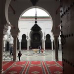 Photo taken by Lisa R