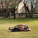 Photo taken by Lara S