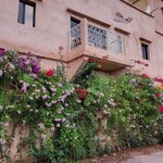 Photo taken by Hayley B