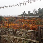 Photo taken by Katherine J