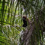 Photo taken by Ciarra N