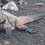 Photo taken by mimi s