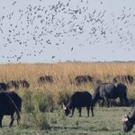 Photo taken by rafiq m