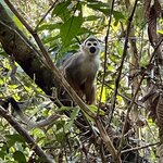 Photo taken by Thomas R