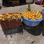 Photo taken by Donna F