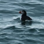 Photo taken by stefanie c