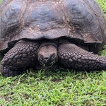 Photo taken by Jennifer A