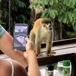 Photo taken by Morton A