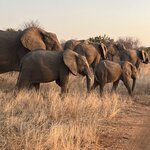 Photo taken by Janie W