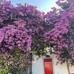 Photo taken by Kaisha S