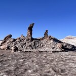 Photo taken by Shirley S