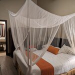 Photo taken by Denise M