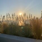 Photo taken by Diana N