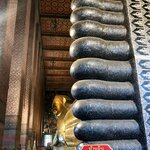 Photo taken by Shaula L