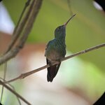 Photo taken by Kate R