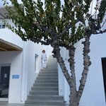 Photo taken by Carole D