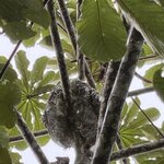 Photo taken by Ben B