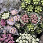 Photo taken by Kristen M