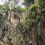 Photo taken by Dennis N