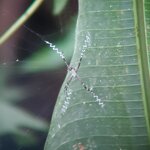 Photo taken by Garritt V