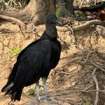 Photo taken by Kakoli K