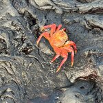 Photo taken by Mark A