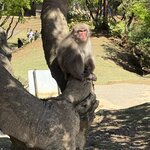 Photo taken by Marianne O