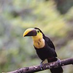 Photo taken by Jayme B