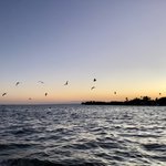 On the ferry to Caye Caulker | Photo taken by BRAD K