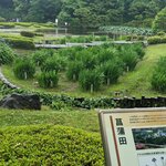 Photo taken by PADMABEN P