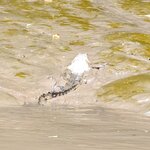 Photo taken by Jason C