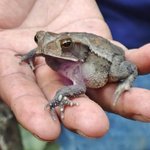 Photo taken by Graeme W