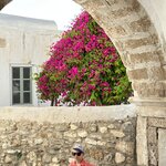 Photo taken by Teresa R