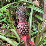 Photo taken by Bryce W