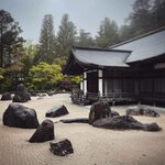 Photo taken by PADMABEN P