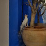 Photo taken by Lisa R