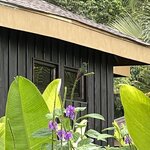 Photo taken by Victoria C