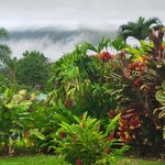 Photo taken by Alda Bernice M