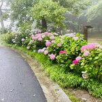 Photo taken by Eileen S