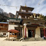 Photo taken by Tyler W