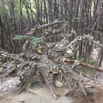 The Tree of Stones | Photo taken by Dave E