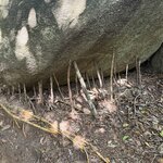 Photo taken by Kevin S