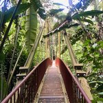 Photo taken by Weston L