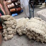 Photo taken by Beverly R