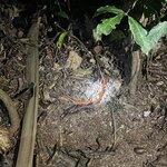 Photo taken by Kelly K