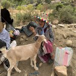 Photo taken by Cynthia F