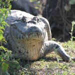 Photo taken by Kelvin V