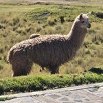 Photo taken by Arun A