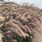 Photo taken by Kara H